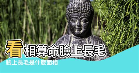 算命長毛的痣|痣上長毛代表什麼